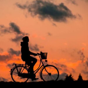 pixabay-silhouette-gc33fe0d4d